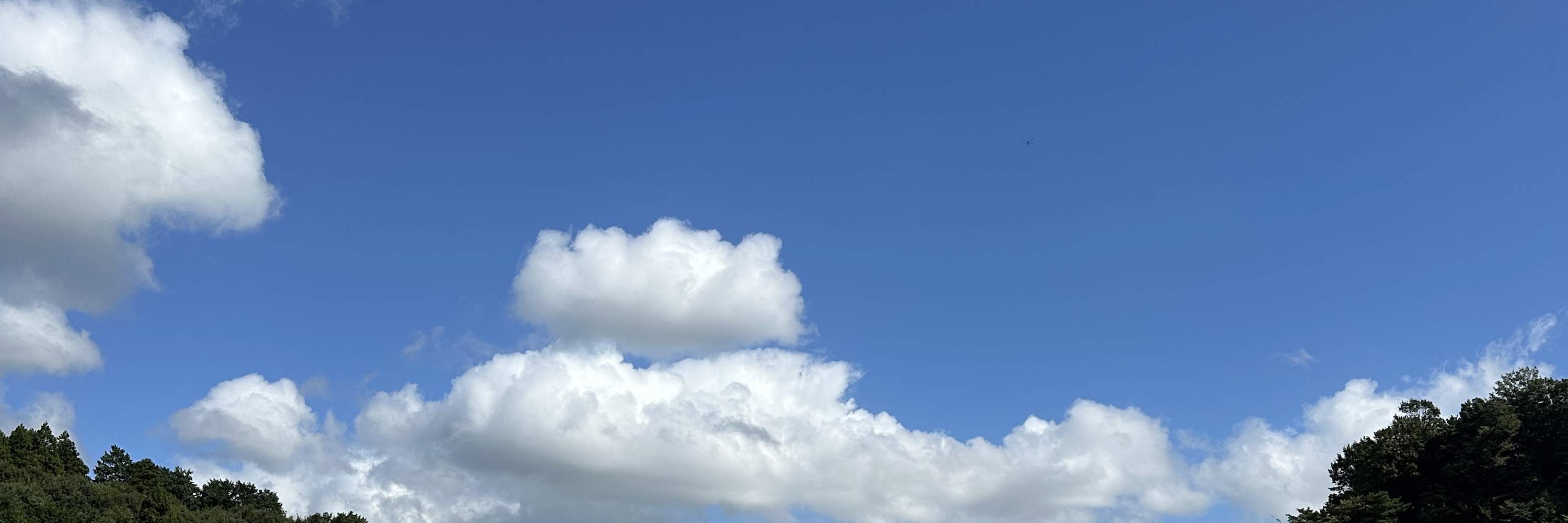 Expérience de conduite de voiture de drift JDM - Visite privée Tokyo Drift Daikoku